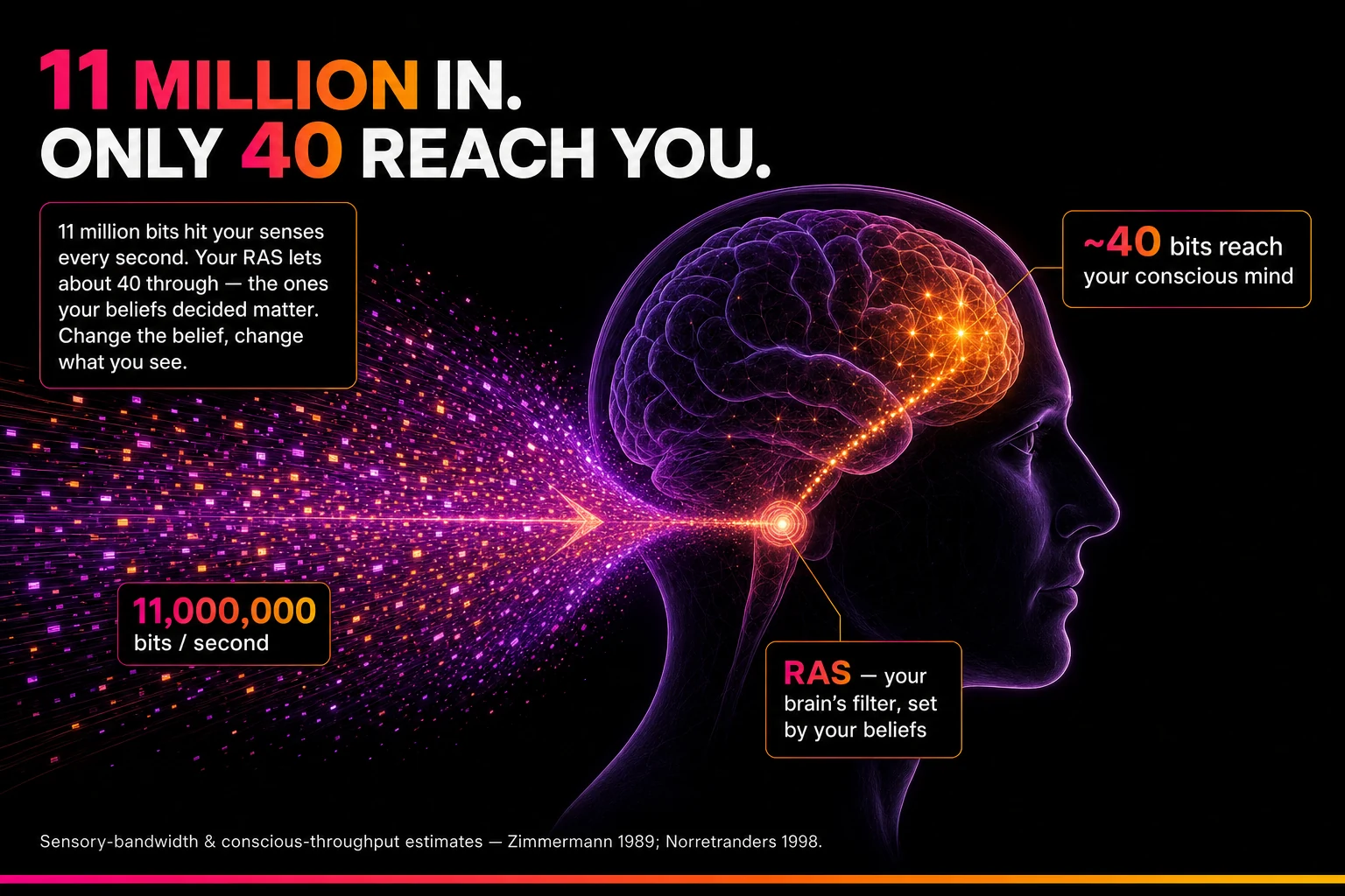Roughly 11 million bits per second hit your senses; only a handful reach your conscious mind, filtered by what you already believe.