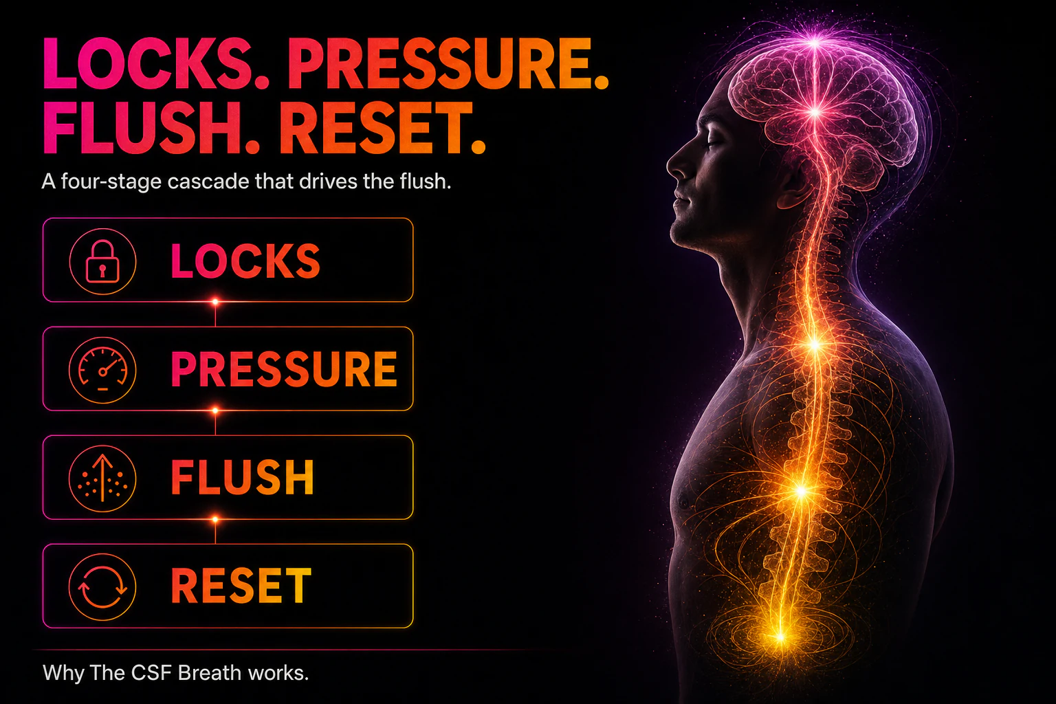 Why the CSF Breath works — locks, pressure, flush, reset
