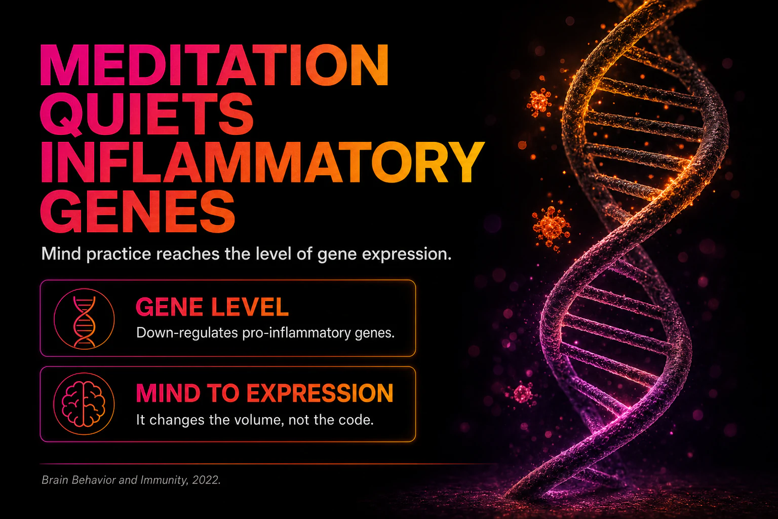 Meditation gene-expression study