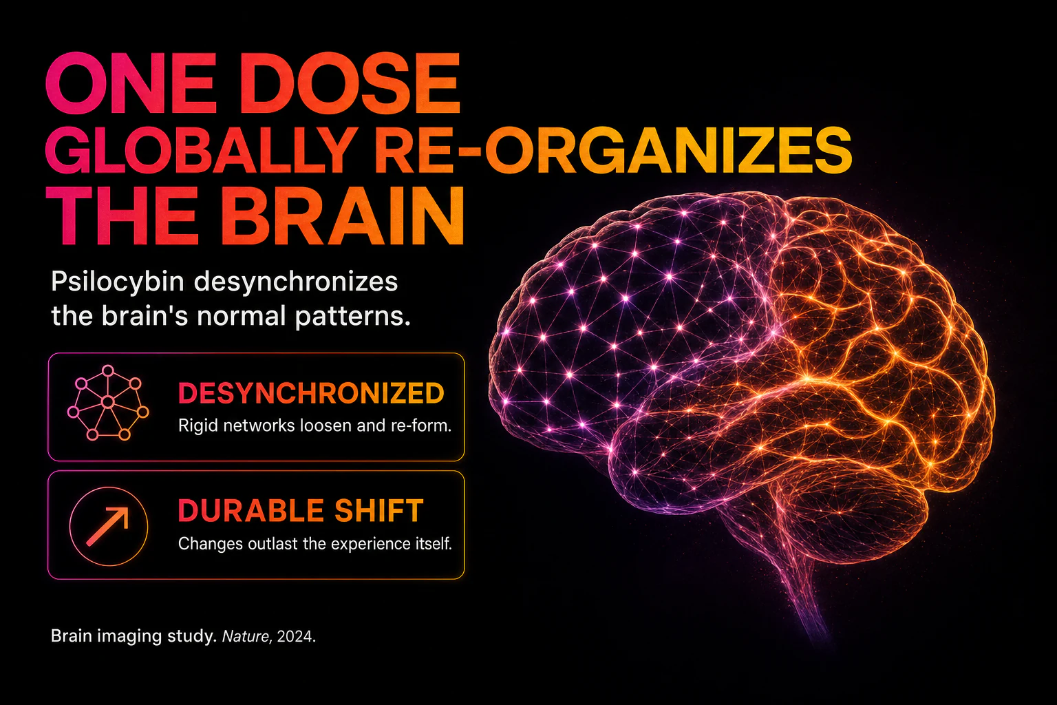 Psilocybin brain-network reorganization